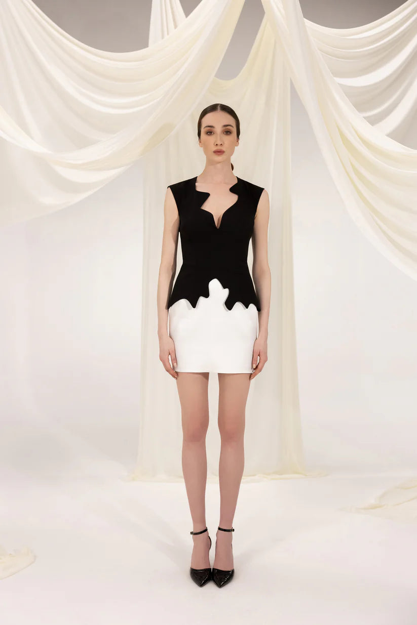 AMELIA BLACK & WHITE MINI DRESS